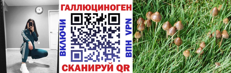 Галлюциногенные грибы Cubensis  Ялта 
